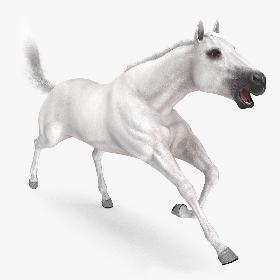 3D White Horse Fur Rigged